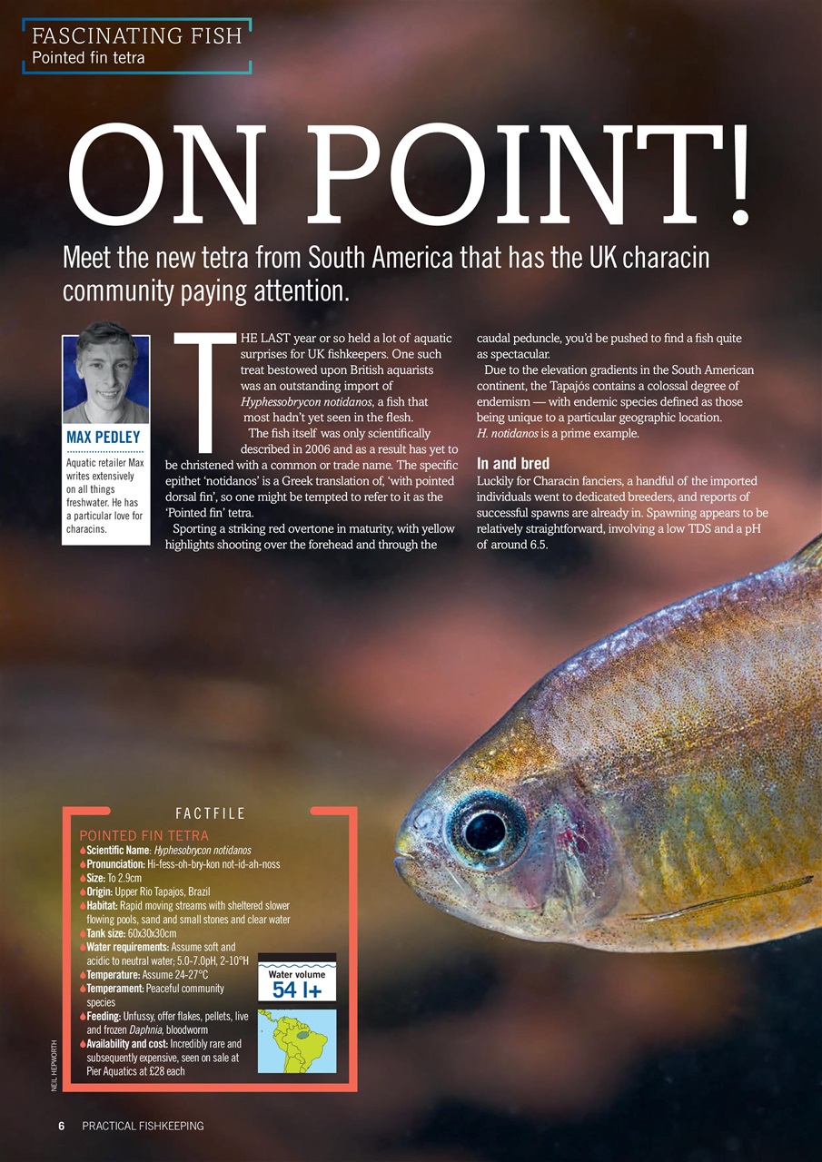Practical Fishkeeping Preview Pages