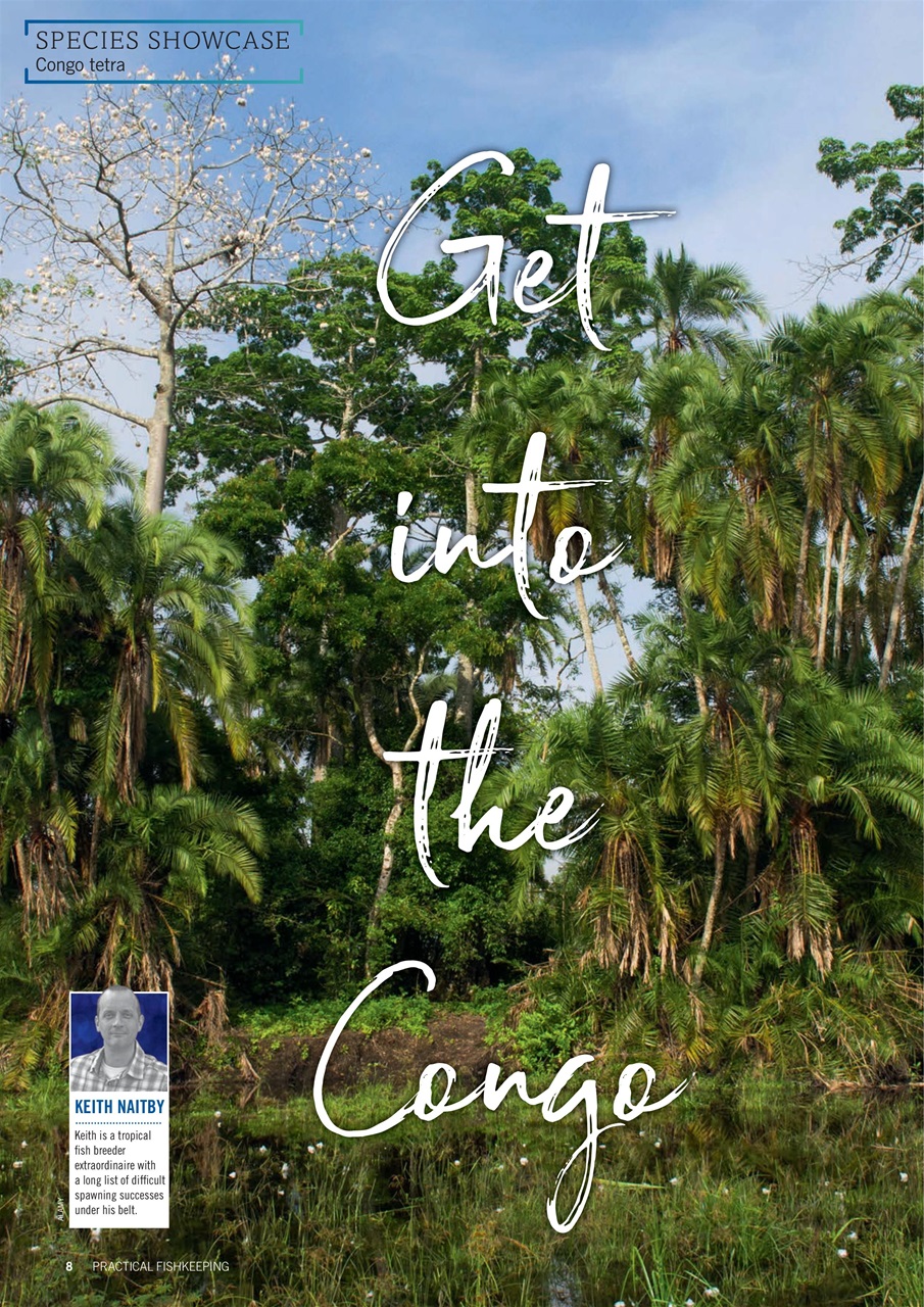 Practical Fishkeeping Preview Pages