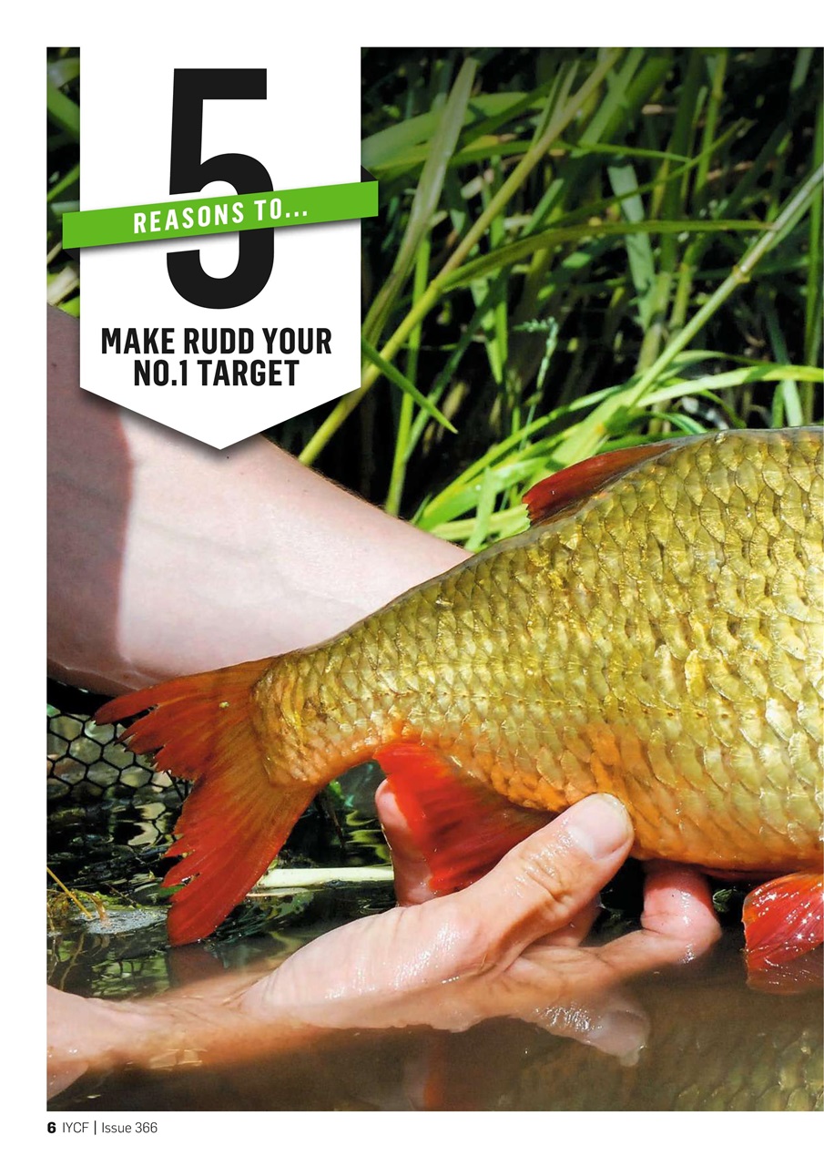 Improve Your Coarse Fishing Preview Pages