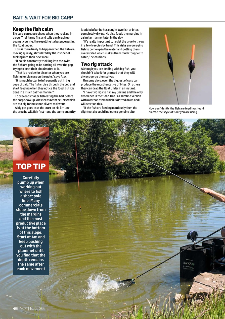 Improve Your Coarse Fishing Preview Pages