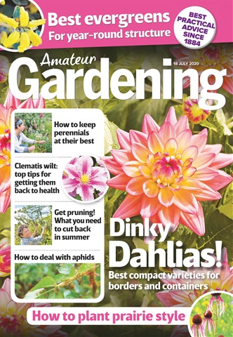 Amateur Gardening issue 18-Jul-2020