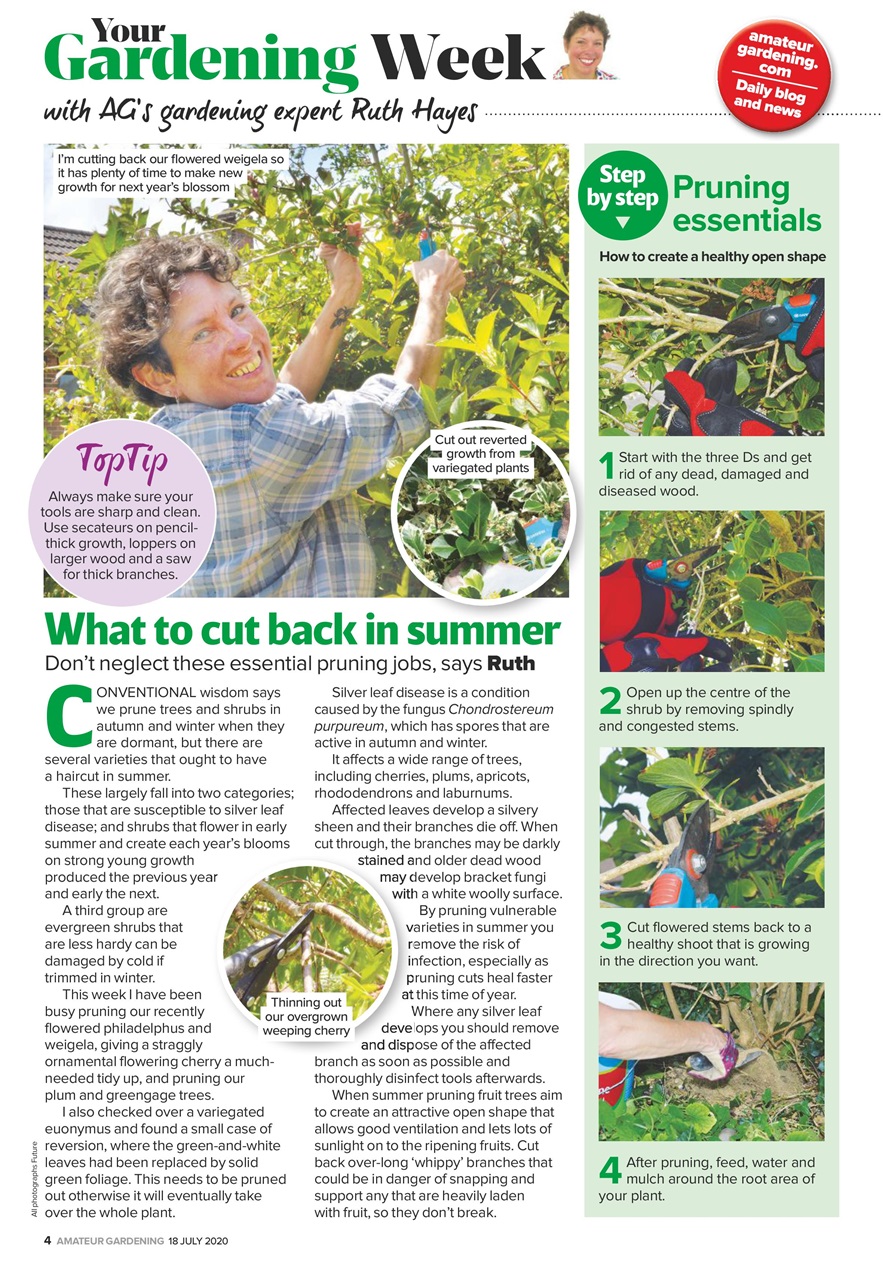 Amateur Gardening Preview Pages