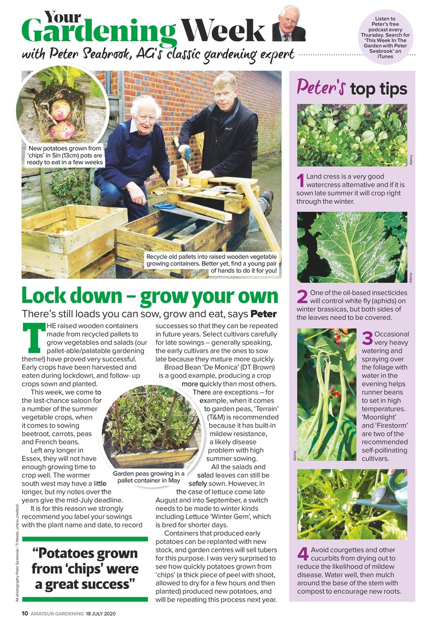 Amateur Gardening Preview Pages