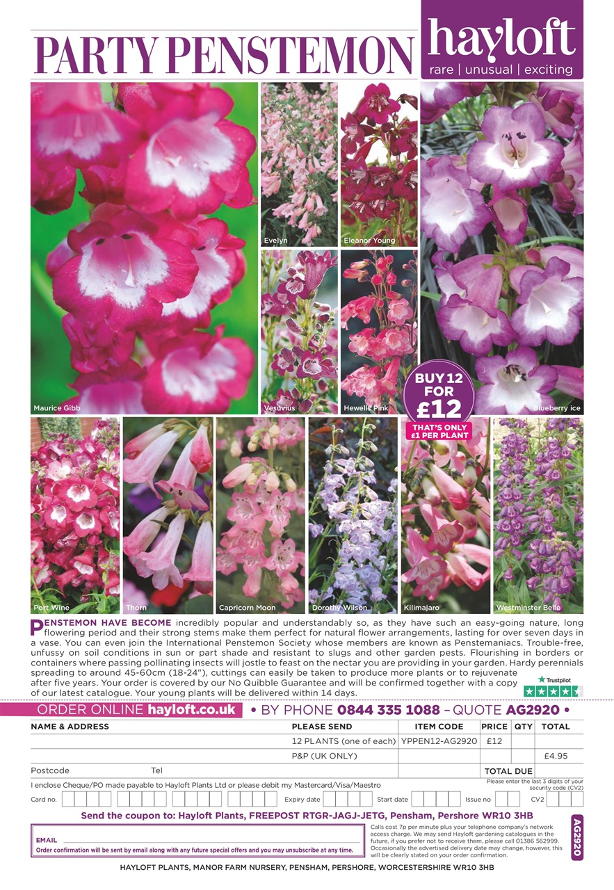 Amateur Gardening Preview Pages