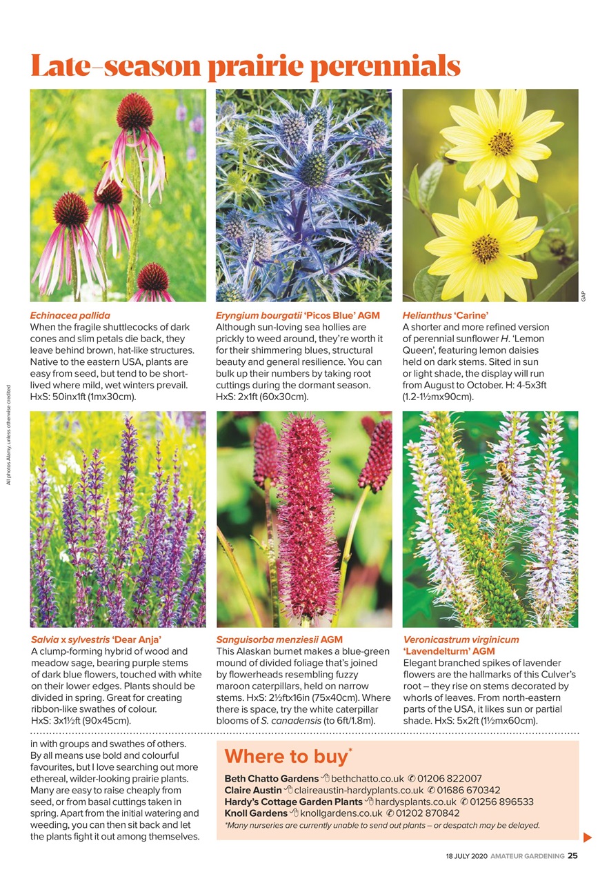 Amateur Gardening Preview Pages