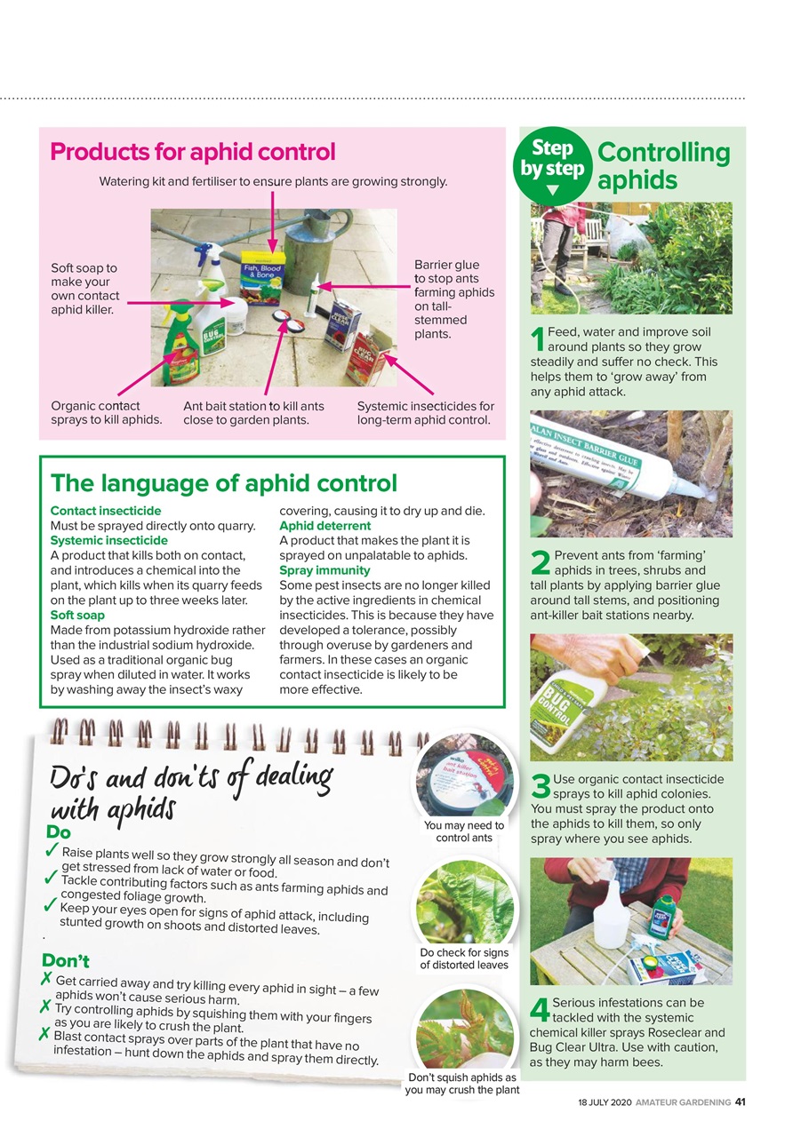 Amateur Gardening Preview Pages