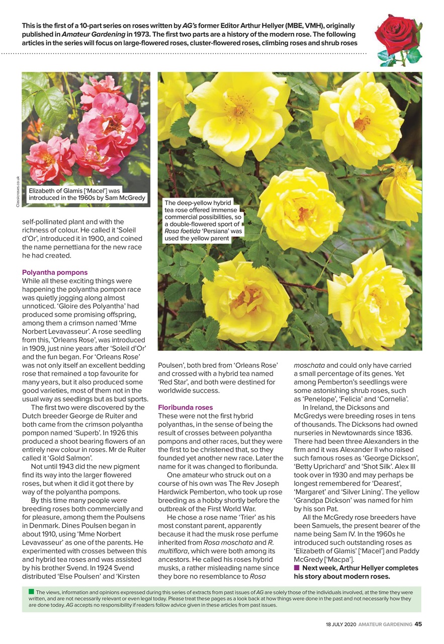 Amateur Gardening Preview Pages