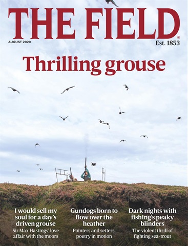 The Field issue Aug-2020