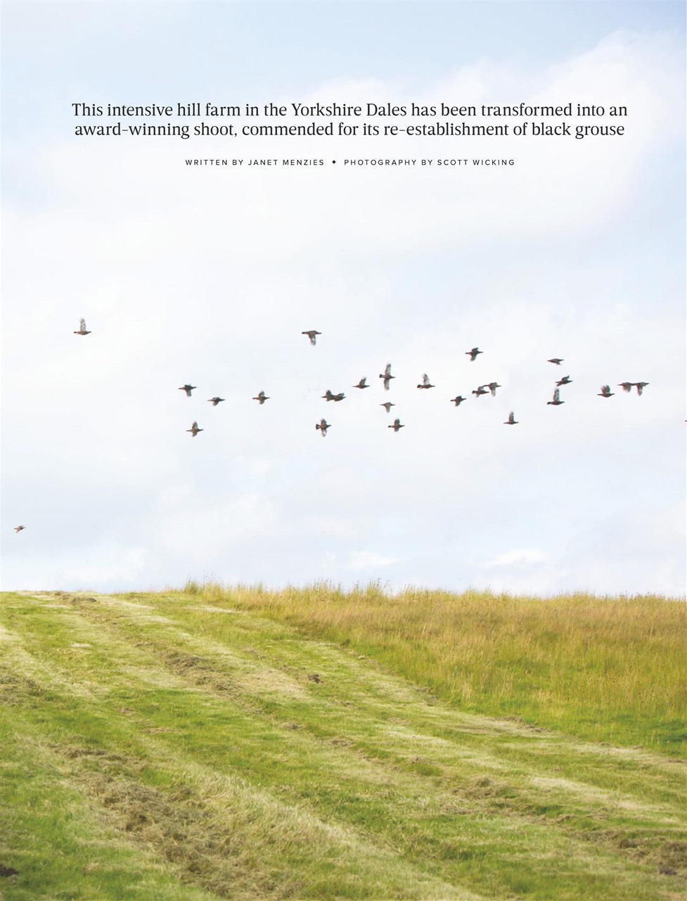 The Field Preview Pages