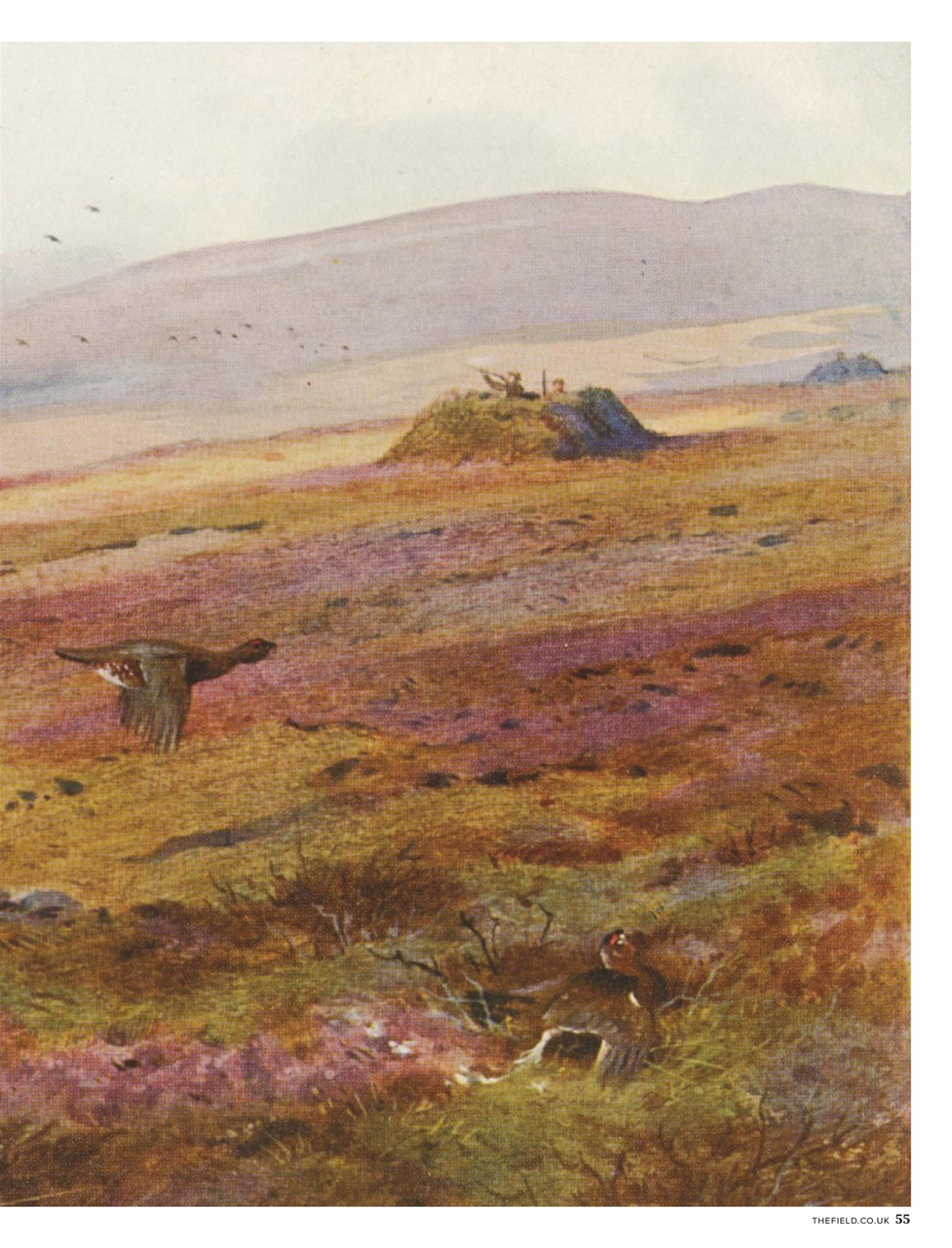 The Field Preview Pages