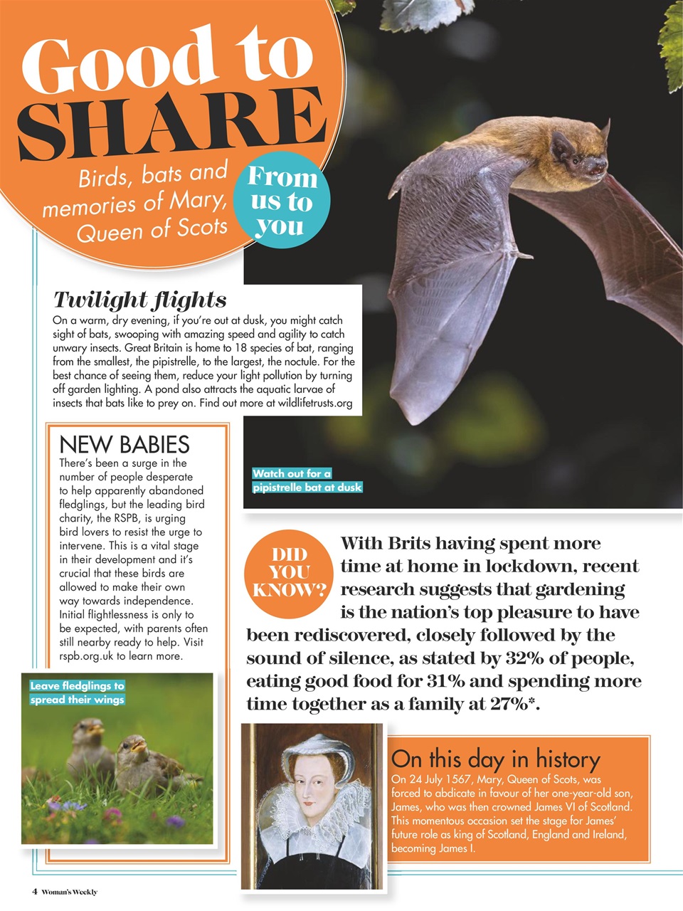 Woman's Weekly Preview Pages