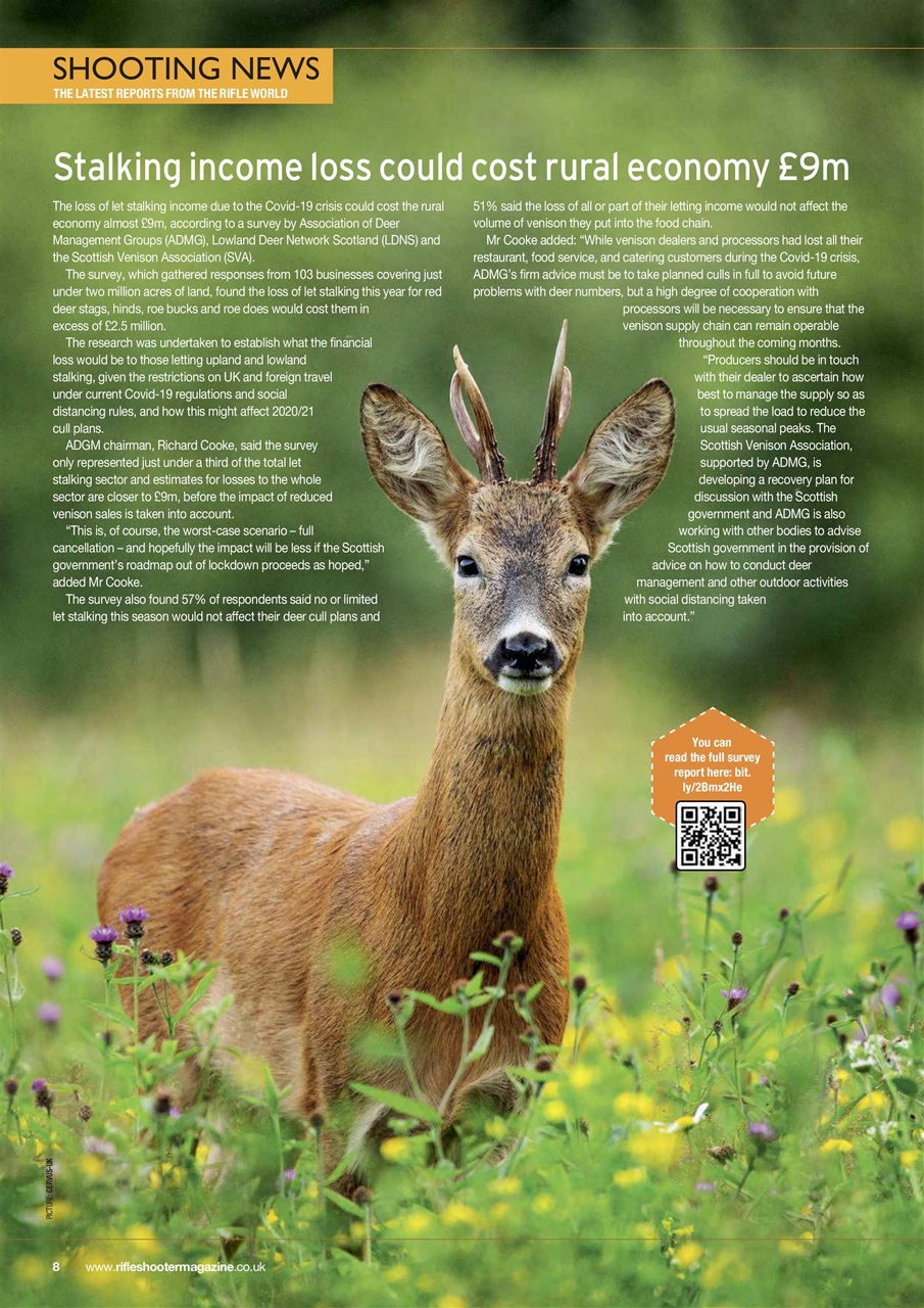 Rifle Shooter Preview Pages