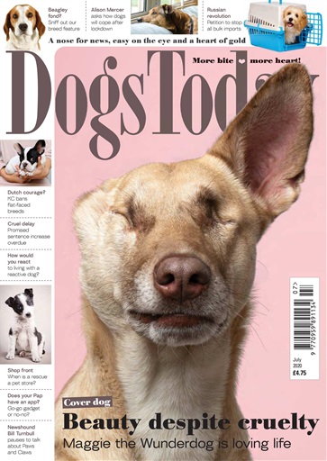 Dogs Today Magazine issue 
