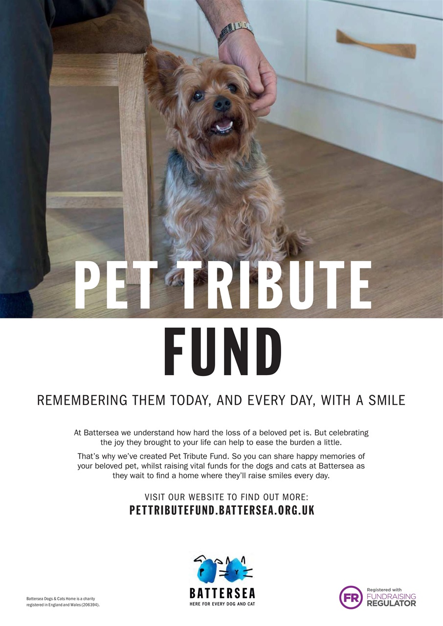 Dogs Today Magazine Preview Pages