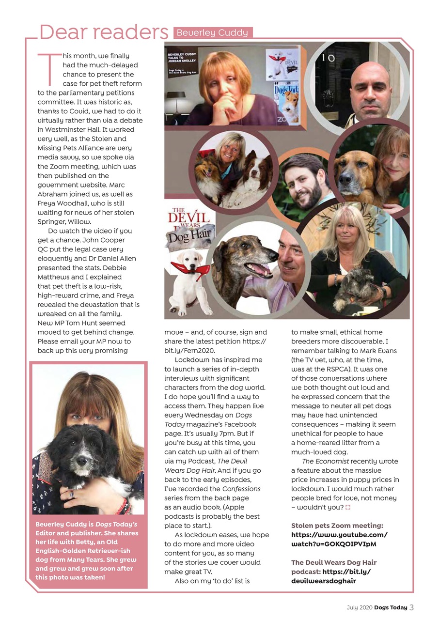 Dogs Today Magazine Preview Pages