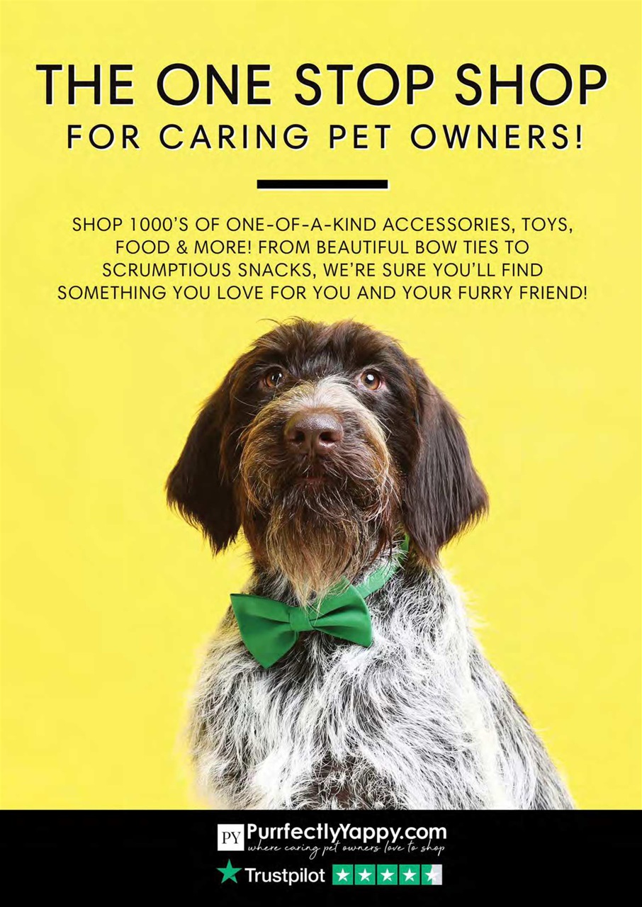Dogs Today Magazine Preview Pages