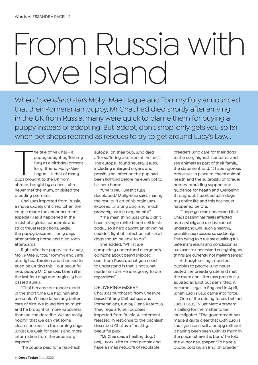 Dogs Today Magazine Preview Pages