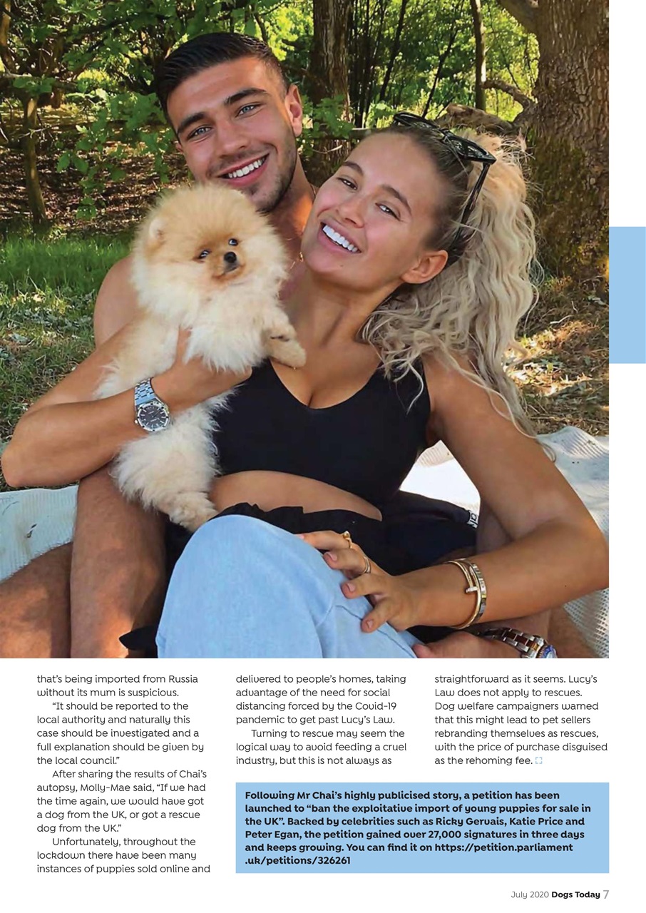 Dogs Today Magazine Preview Pages