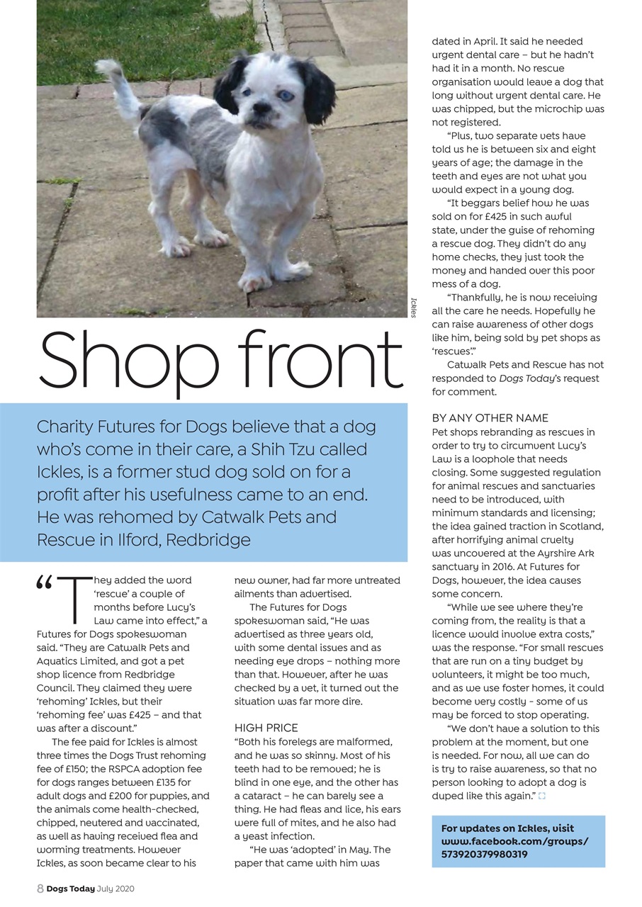 Dogs Today Magazine Preview Pages