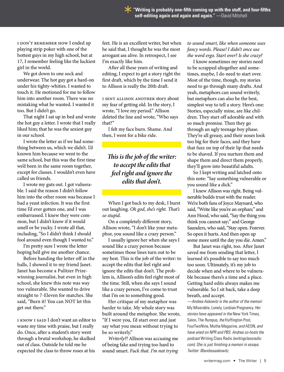 The Writer Preview Pages