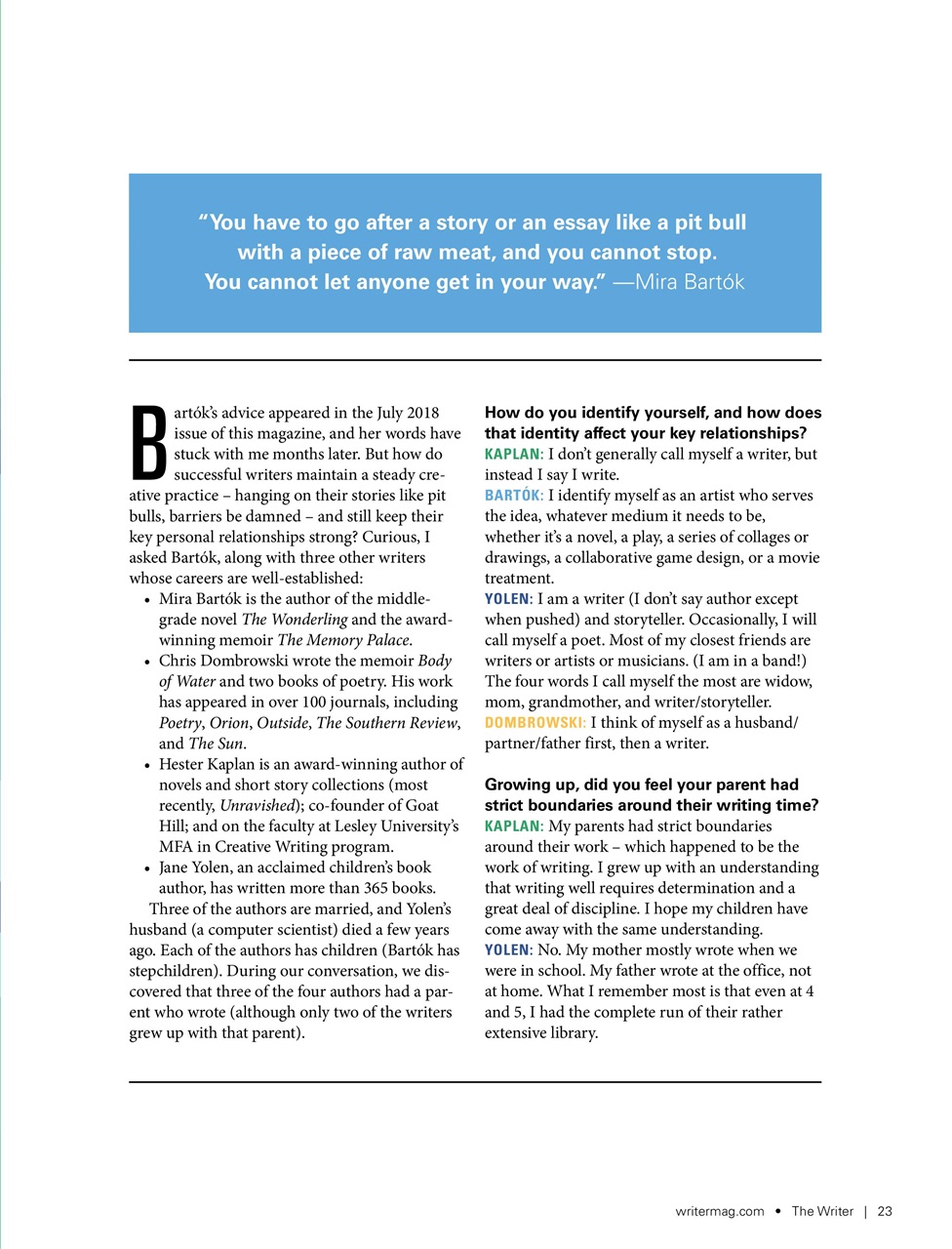 The Writer Preview Pages