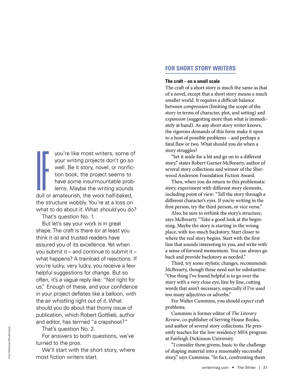 The Writer Preview Pages