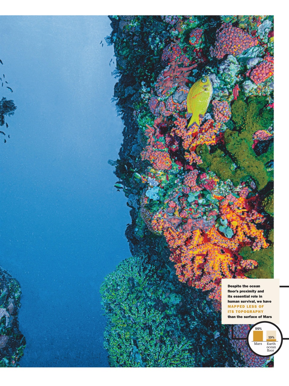 TIME Magazine Europe Preview Pages