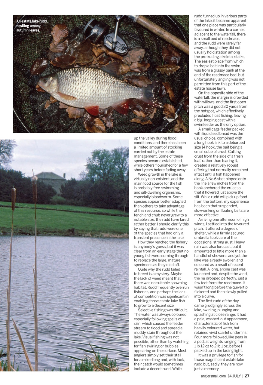Anglers Mail Preview Pages