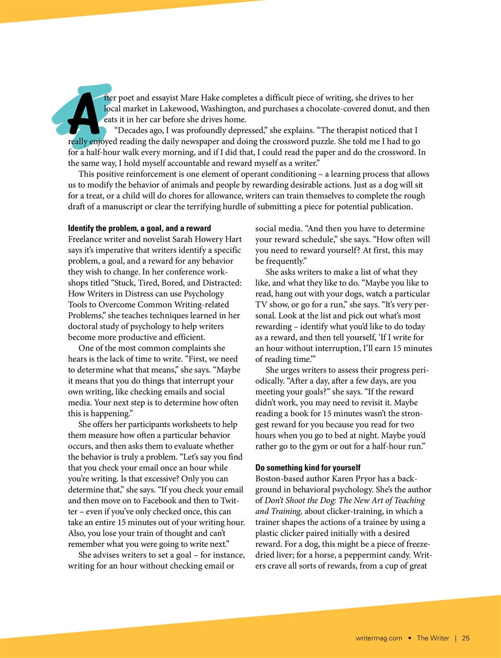 The Writer Preview Pages