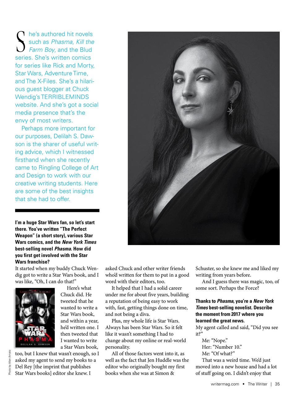 The Writer Preview Pages