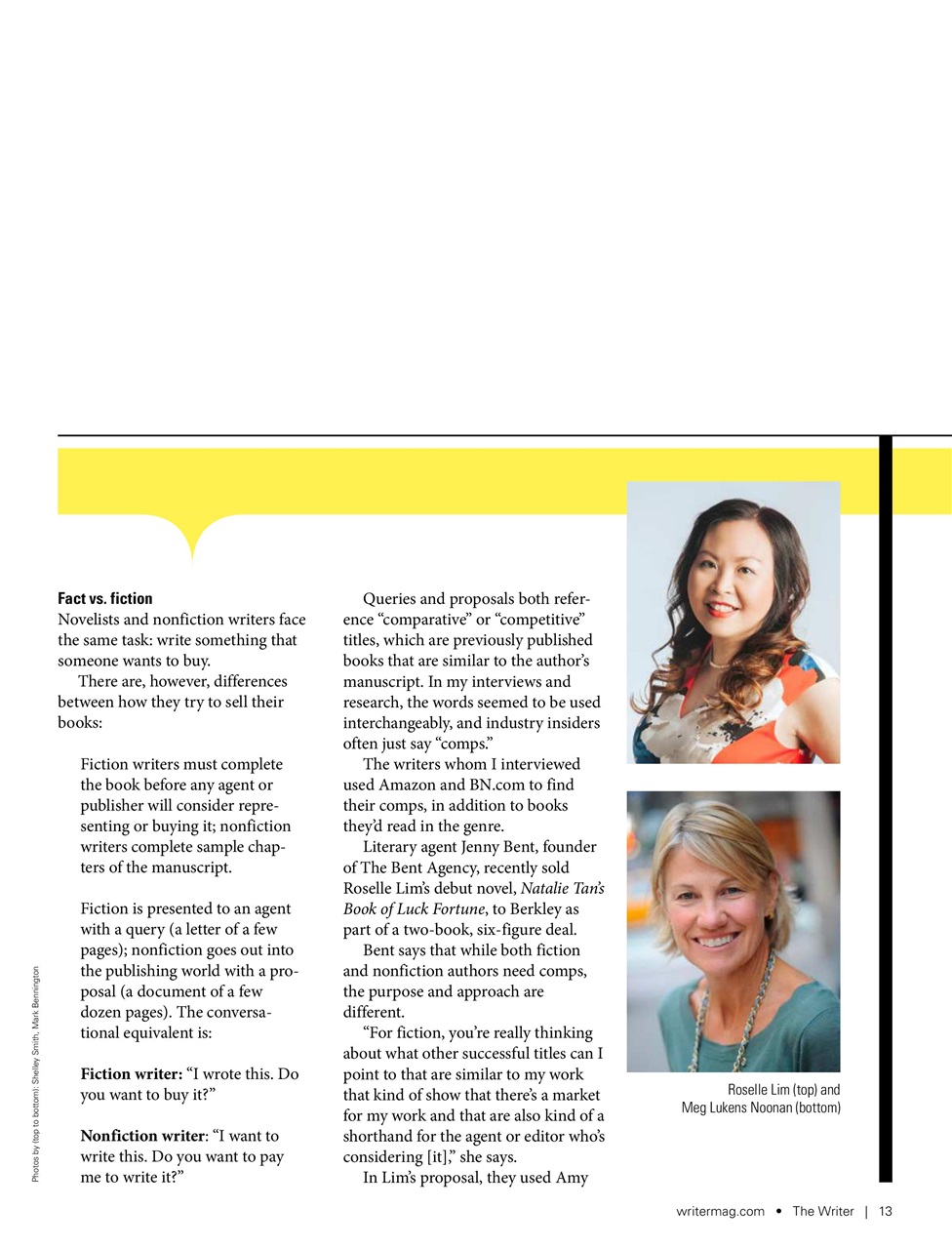The Writer Preview Pages