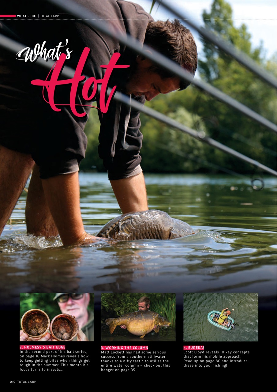 Total Carp Preview Pages