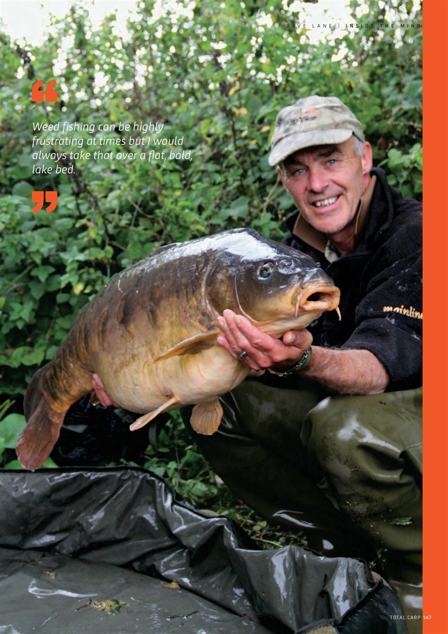 Total Carp Preview Pages