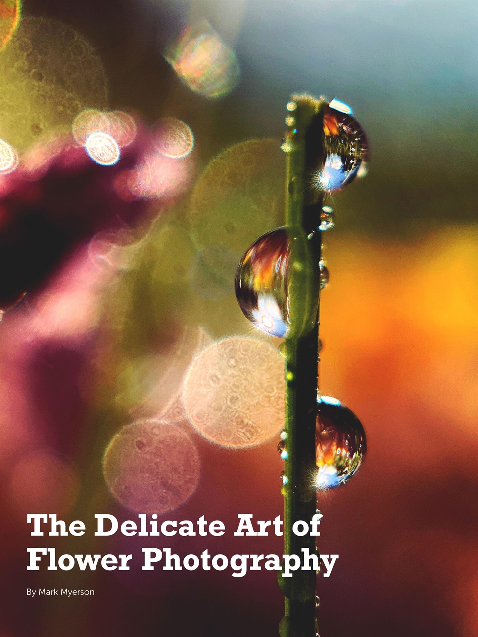 Mobiography Preview Pages