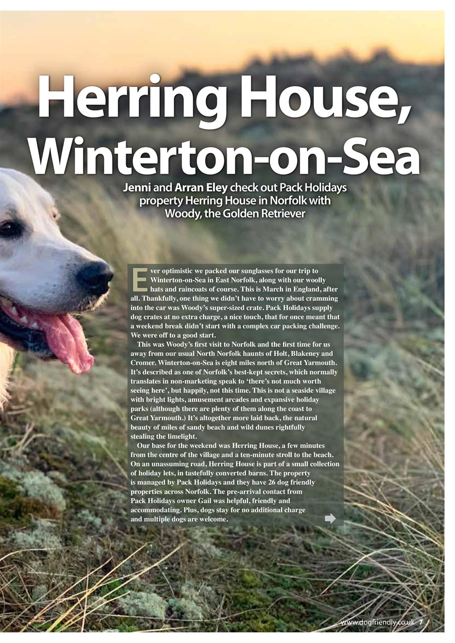 Dog Friendly Preview Pages