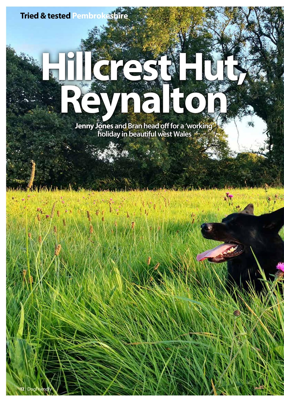 Dog Friendly Preview Pages