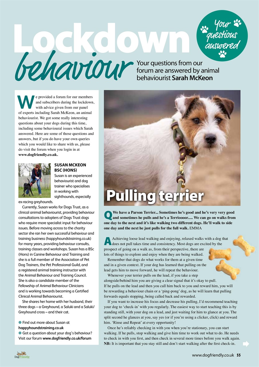 Dog Friendly Preview Pages