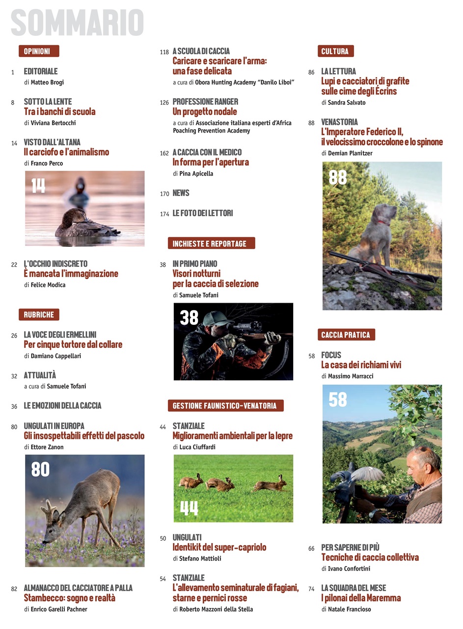 Caccia Magazine Preview Pages