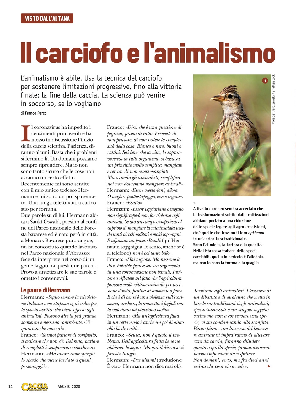 Caccia Magazine Preview Pages