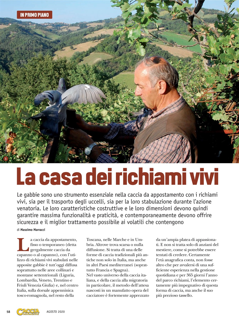 Caccia Magazine Preview Pages