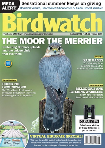 Birdwatch Magazine issue August 2020 – VIRTUAL BIRDFAIR SPECIAL