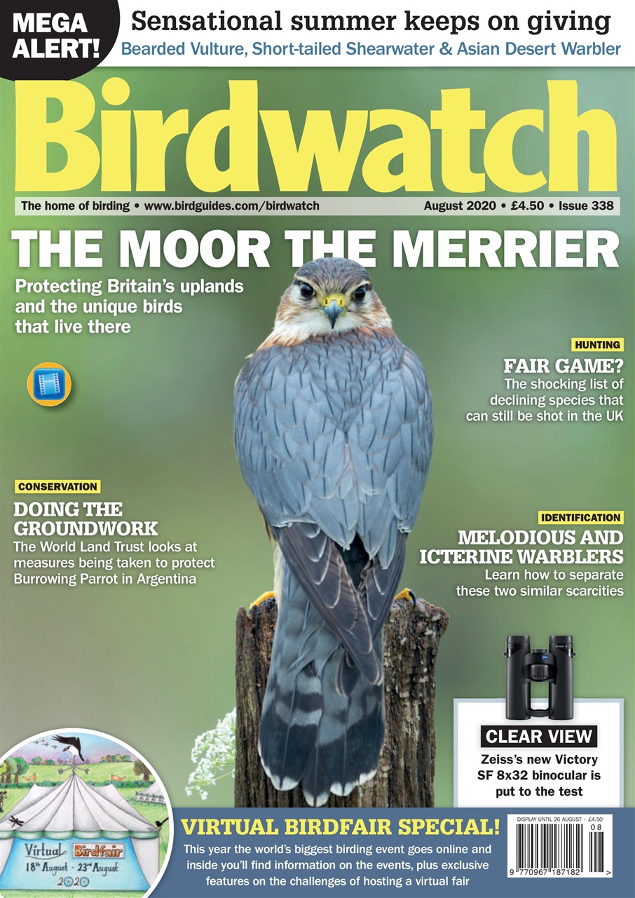 Birdwatch Magazine Preview Pages