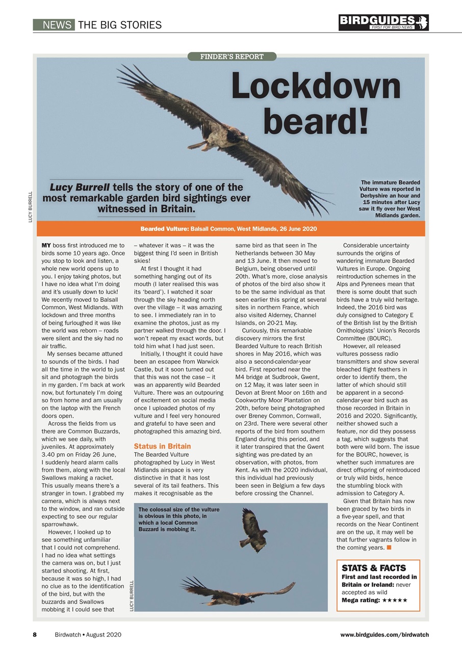 Birdwatch Magazine Preview Pages