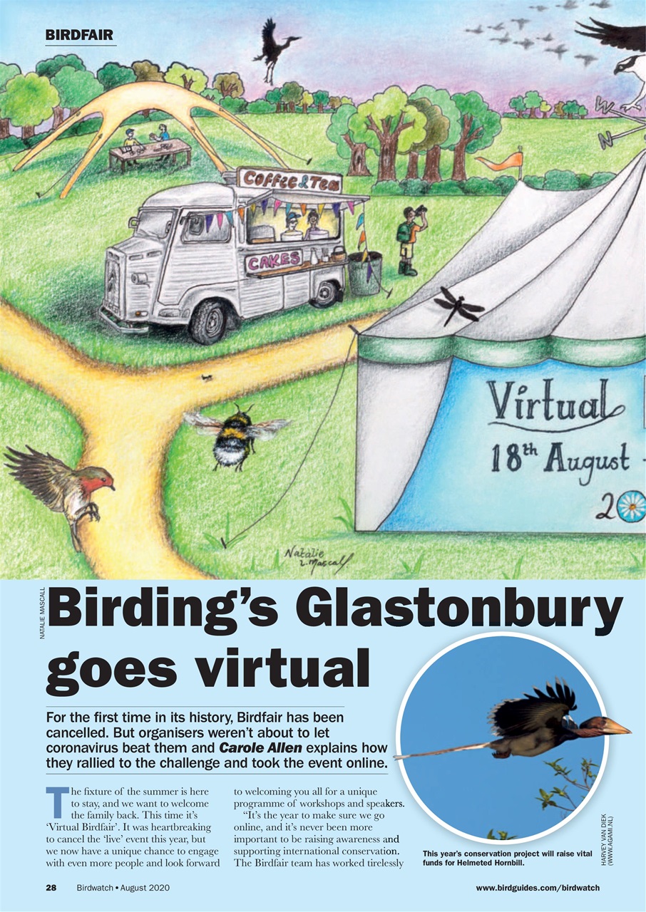 Birdwatch Magazine Preview Pages