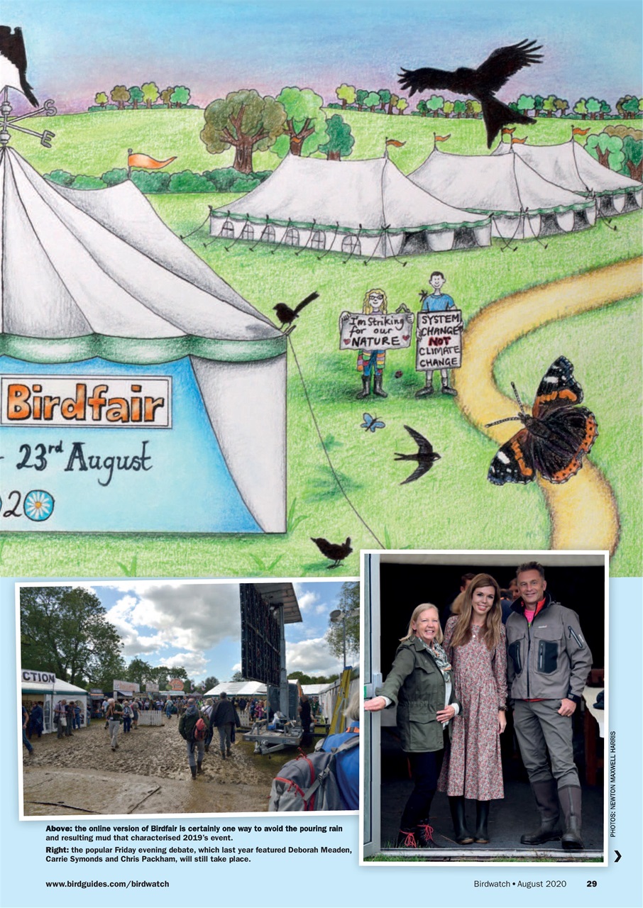 Birdwatch Magazine Preview Pages