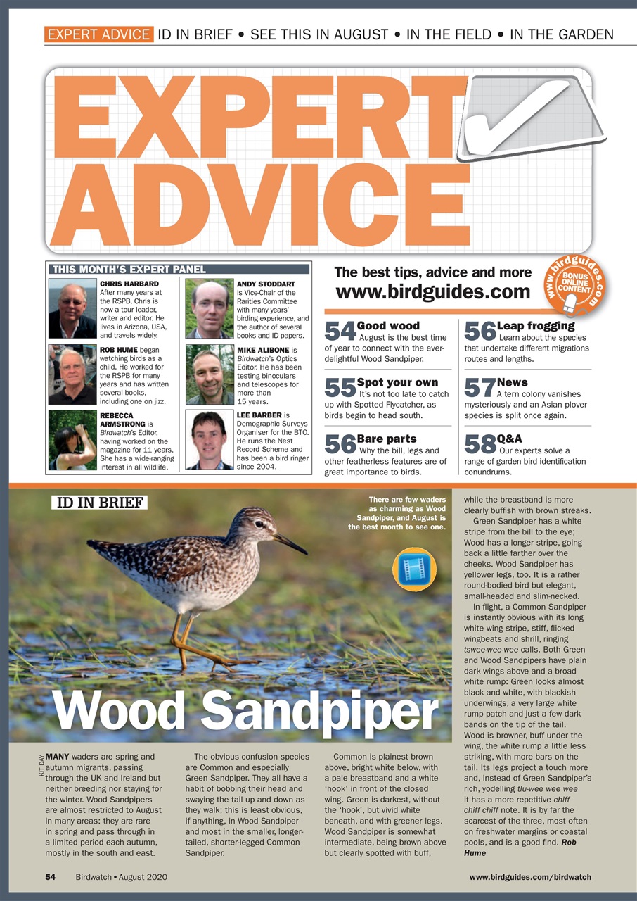 Birdwatch Magazine Preview Pages