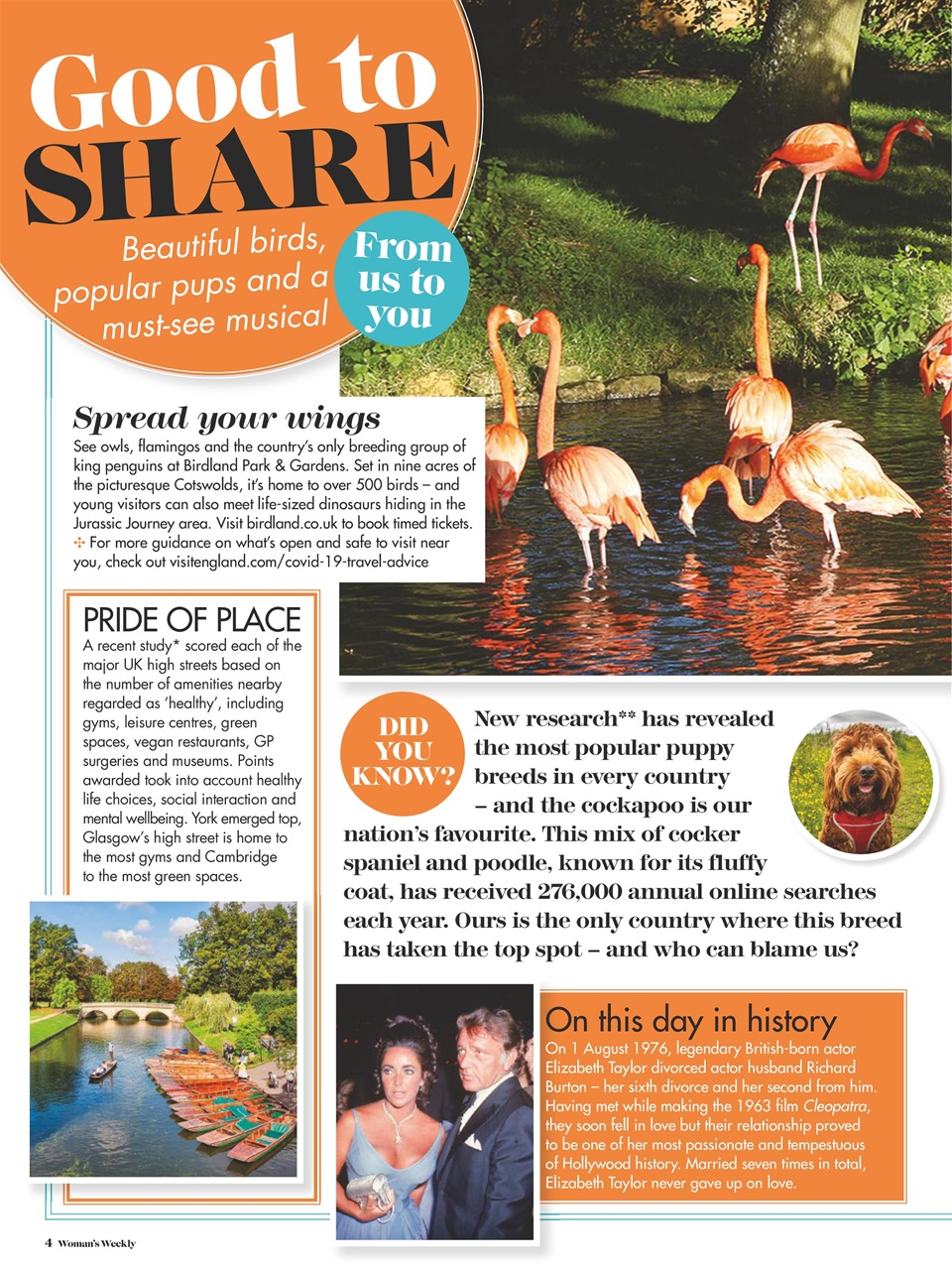 Woman's Weekly Preview Pages