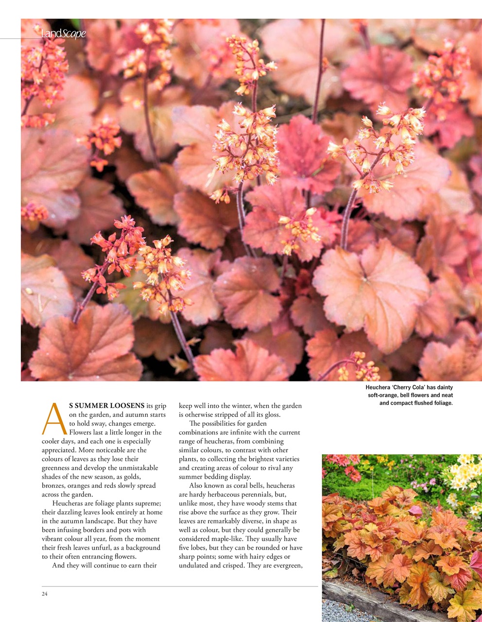 LandScape Preview Pages