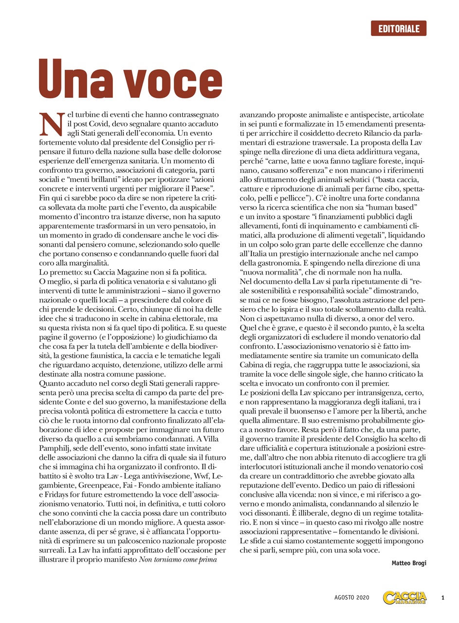 IL CINGHIALE CHE PASSIONE Preview Pages