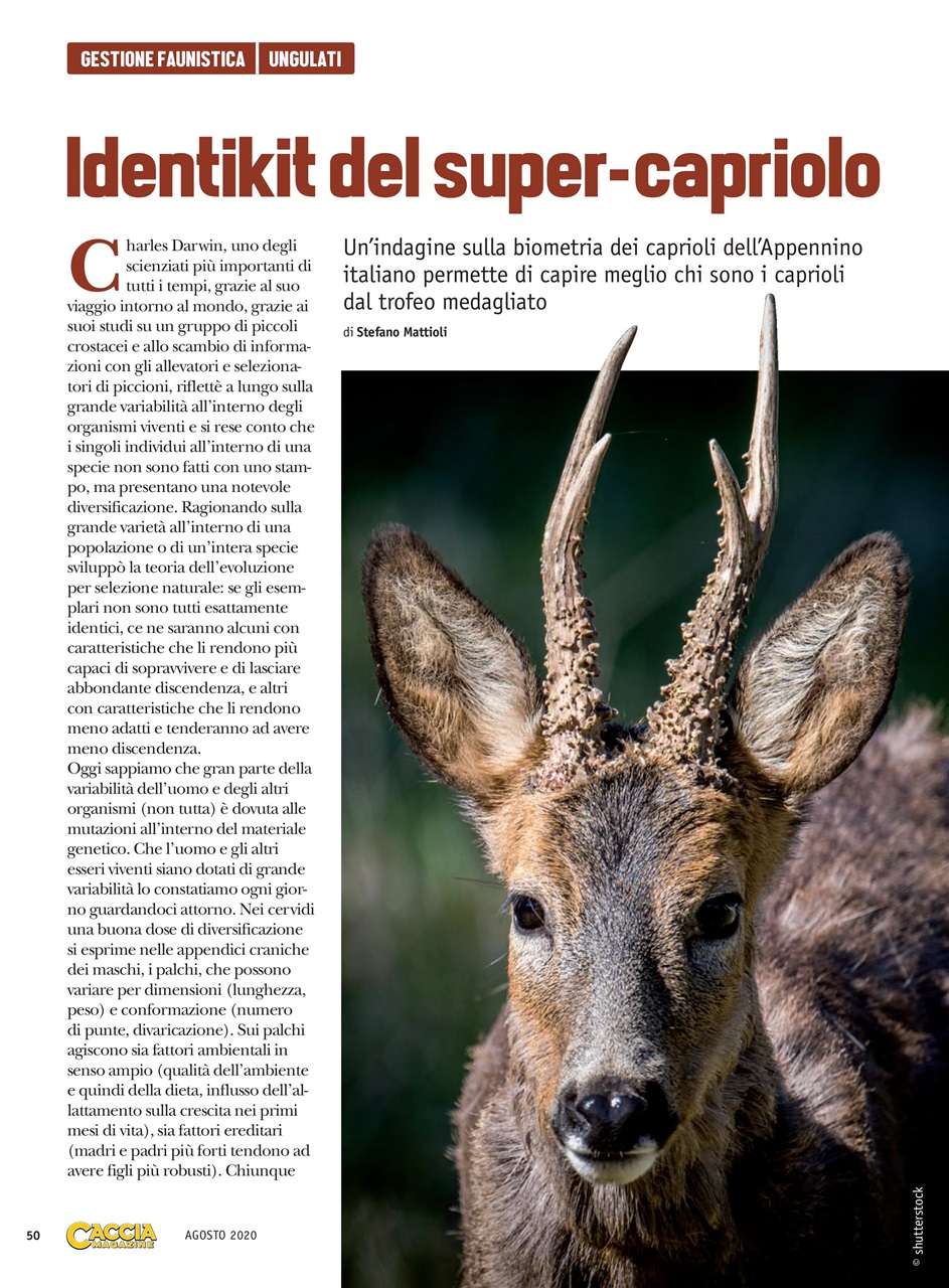 IL CINGHIALE CHE PASSIONE Preview Pages